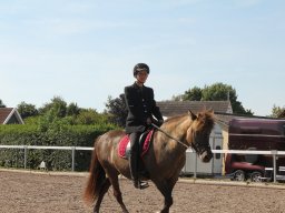 img_7228_web